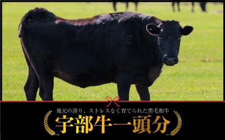 【数量限定】宇部牛一頭分 BTAJ016和牛