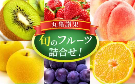 フルーツ 詰め合わせ セット 丸亀讃果(1回便) 今が旬の厳選果実 旬のフルーツ 食べ比べ いちご みかん デコポン びわ 桃 梨 ぶどう 柿 キウイ 柑橘 柑橘類 果物 デザート おやつ 旬 産地直送 旬の果物 お取り寄せ 取り寄せ フルーツギフト 人気果物 人気フルーツ  送料無料 冷蔵 冷蔵配送 香川