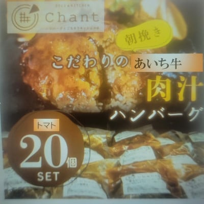 
＜トマト煮込み＞こだわりのあいち牛『肉汁』ハンバーグ　20個セット　おいしい食べ方レシピ付き【1405732】
