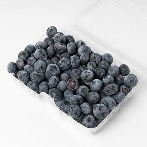 【大粒】冷凍ブルーベリー1kg(500g×2パック)_冷凍 ブルーベリー 大容量 フルーツ_【配送不可地域：離島】【1292650】