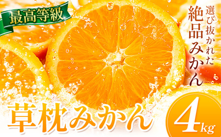 ＜先行予約＞草枕みかん 約4kg 《11月上旬-12月上旬頃出荷》熊本県 長洲町 フルーツ 柑橘 みかん ミカン 草枕 デザート 送料無料
