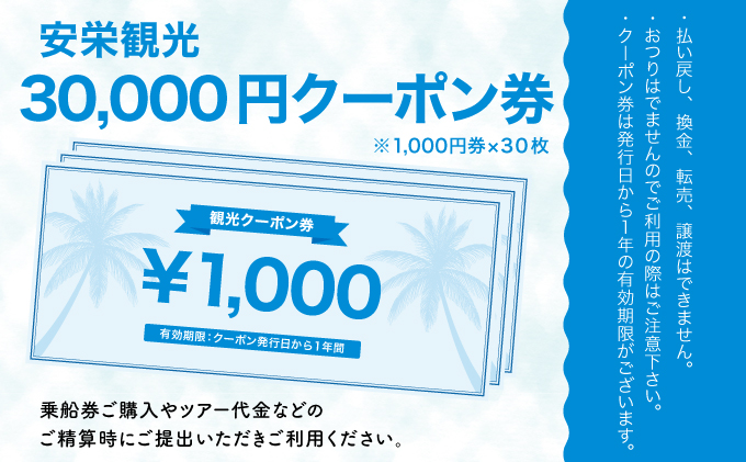 安栄観光 30,000円クーポン券