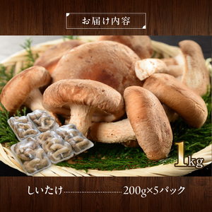 しいたけ・椎茸『駒来ファームの 極上・肉厚 生しいたけ』 極上しいたけ 肉厚 生しいたけ 生シイタケ 生椎茸 安心 安全 国産 採れたて 新鮮 きのこ 野菜 [131L01]