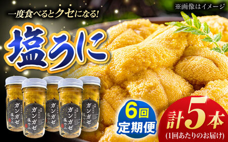 【全6回定期便】ガンガゼ塩うに 70g×5本 / ウニ 雲丹 五島市 / うた丸[PGA007]