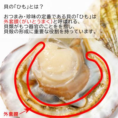 ふるさと納税 伊予市 ほたて焼貝ひも 120g オカベ|A42 |  | 02