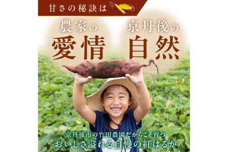 さつまいもオブザイヤー全国1位 京都・ 丹後産　さつまいも ふくむらさき　土付き（1本120〜200g）3kg