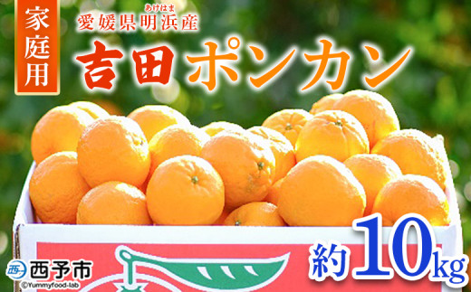 【先行予約】＜愛媛県明浜産 吉田ポンカン 家庭用 約10kg＞ 果物 くだもの フルーツ みかん ミカン 柑橘 吉田ぽんかん よしだぽんかん ヨシダポンカン 訳あり ご自宅用 特産品 愛媛県 西予市【常温】