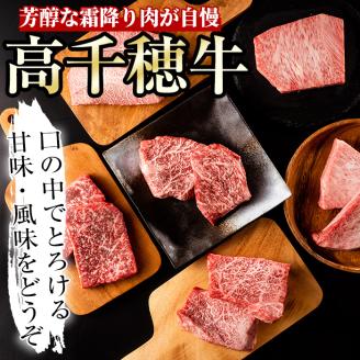 ＜定期便・6回(連続)＞高千穂牛・定期便(6ヶ月)国産 宮崎県産 宮崎牛 牛肉 イチボ ランプ モモ サーロイン ステーキ A4 和牛【MT008】【JAみやざき 高千穂牛ミートセンター】