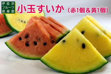 【2026年発送】伊佐沢フルーツ倶楽部の小玉すいか2玉（赤＆黄）_H097(R8)