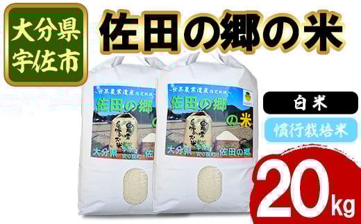 ＜新米・令和7年産＞佐田の郷の米 慣行栽培米(20kg)お米 白米 ごはん ヒノヒカリ ひのひかり ブランド米 常温 常温保存【111700304】【雅設置プロジェクト　佐田の郷の会】