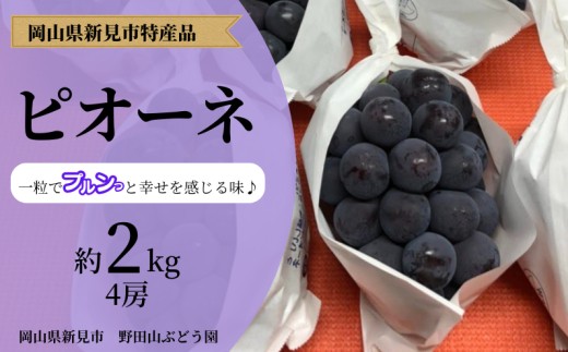 野田山ぶどう園 ピオーネ 約2kg 3～4房 