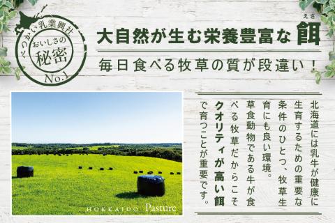 〈べつかい乳業興社〉 アイスクリーム4種詰合せ12個 【高島屋選定品】（アイス あいす 北海道 別海町 )