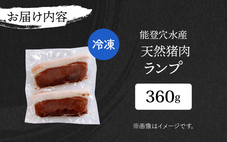 奥能登 穴水産 天然猪肉 ランプ 120g×3枚 計360g / 奥能登 能登半島 穴水町 お肉 にく 肉 ジビエ ランプ 猪 イノシシ いのしし 冷凍 天然 焼肉 焼き肉 ステーキ