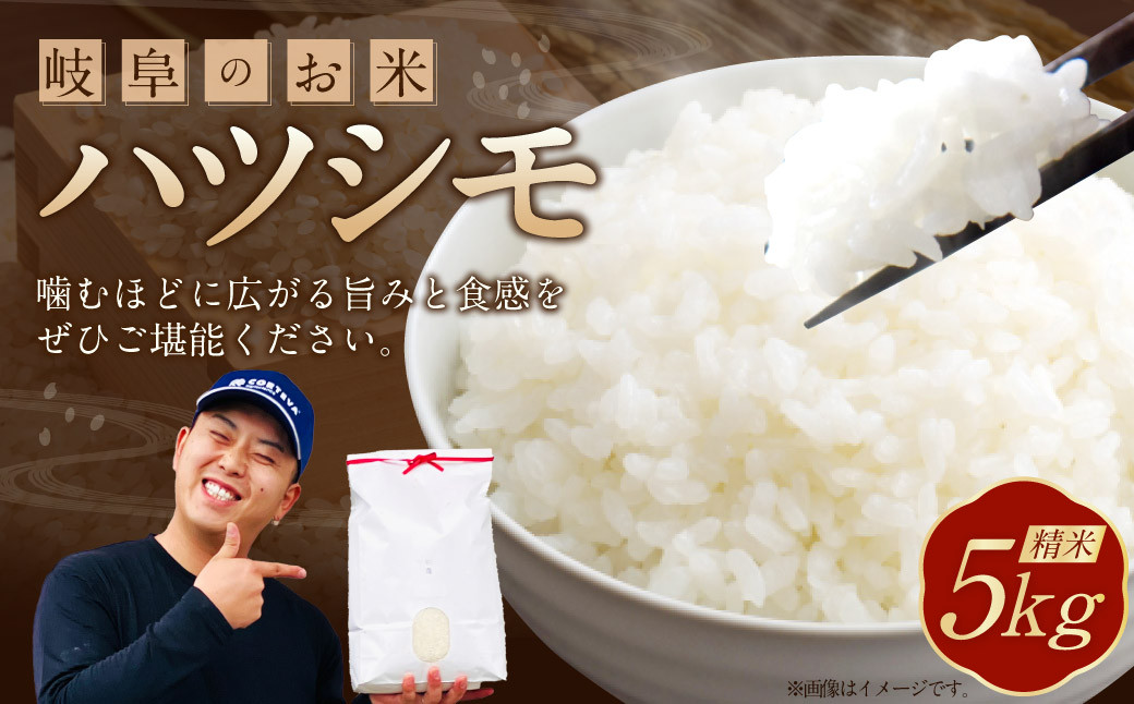 
            ＜先行予約＞令和7年産 岐阜のお米 ハツシモ 初霜 5kg 米 お米 白米 岐阜県 美濃加茂市【2025年11月上旬～2026年5月下旬 発送予定】
          