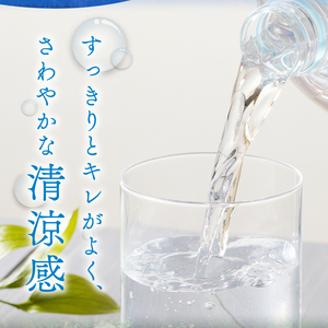 【３ヵ月定期便】サントリー天然水 南アルプス（2L×6本）