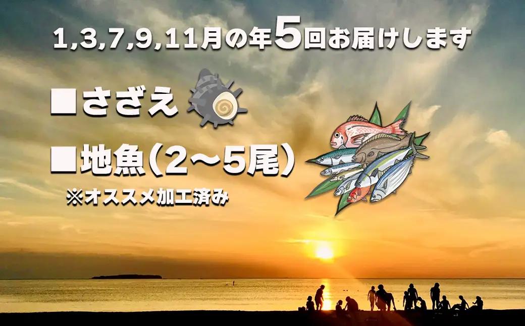 【年5回】お魚よかろうもん！玄界灘・福津の地魚お楽しみ定期便【冷凍】【随時開始】[H7015]