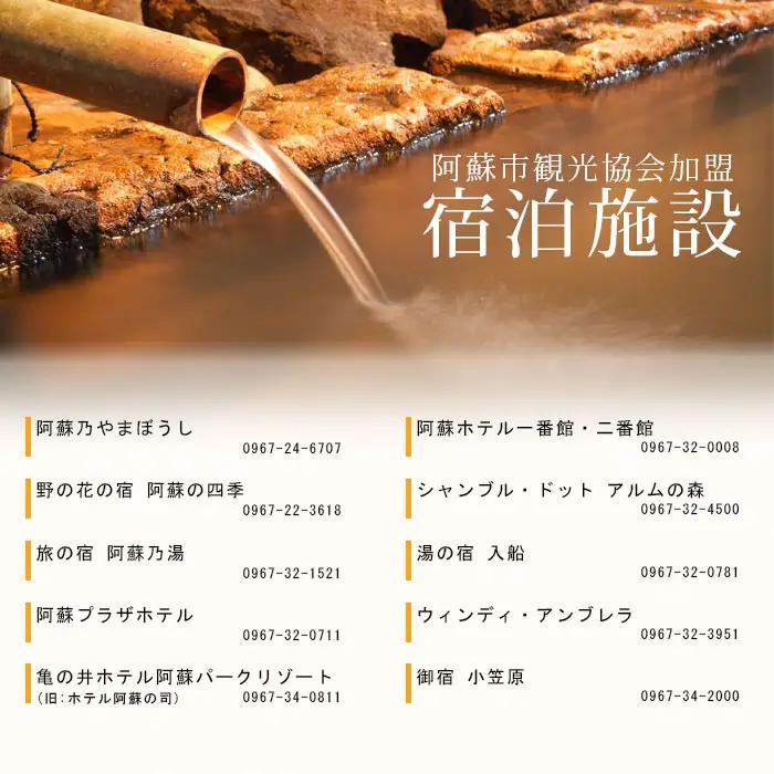 【4,000円分】阿蘇市観光協会加盟施設で使用できる宿泊補助券【旅行】
