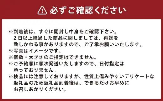 温州みかん 約7kg 2S ～ 2Lサイズ みかん ミカン 蜜柑 果物 くだもの フルーツ 柑橘 柑橘系 柑橘類 果実 果肉 国産 熊本県産 【 2026年11月上旬～12月上旬発送予定 】