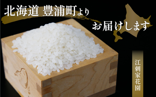 ■3ヵ月連続お届け【定期便 3回】北海道 豊浦 令和5年産 精米 ななつぼし 5kg  TYUQ004