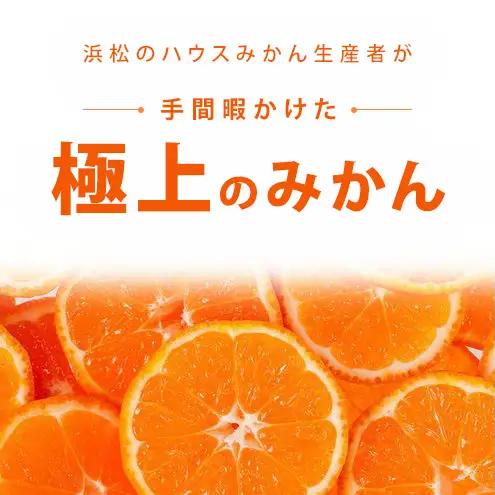 浜松市産 JAとぴあ浜松 ハウスとぴあみかん 秀Mサイズ 約2.5kg 約25個入り 糖度11度以上 みかん ミカン 静岡 浜松市