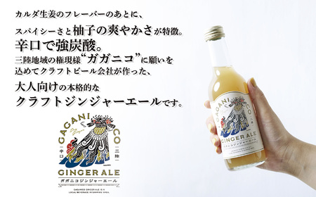 【炭酸飲料】 ガガニコジンジャーエール 12本セット (250ml×12本)【 炭酸 飲料 ドリンク 飲み物 ノンアルコール ジンジャー 北限のゆず ゆず 生姜 ショウガ しょうが 】