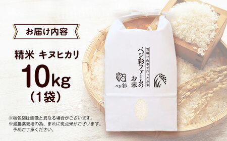 R7年度産 お米 10キロ キヌヒカリ きぬひかり 新米 米 お米 白米 コメ おこめ 10kg 大阪府高槻市/ベジ彩ファーム[AOEJ010]