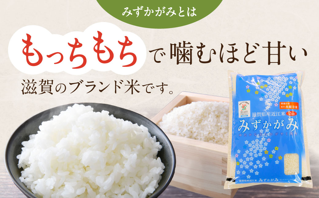 JAグリーン近江 みずかがみ レトルト ご飯 200g×18個　O-I05　グリーン近江農業協同組合