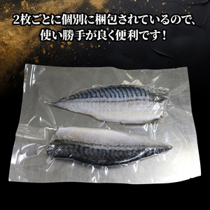 塩 サバ 干し フィレ 片身 8枚 小分け 個包装 フィーレ しお 鯖 干物 ひもの 返礼品 グルメ 魚介 冷凍 おかず 弁当 焼き魚 海鮮 さかな 京都 伊根