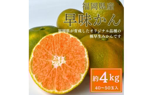 
            【2025年9月下旬より順次発送】福岡県産 早味かん 約4kg(40玉～50玉入) M・Sサイズ うまうまもぐもぐ
          