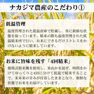 令和7年産 新潟県産 コシヒカリ 定期便（10kg×3回分） 謙信秘蔵米 真空 窒素挿入 冬眠パック 精米 上越市 上杉謙信