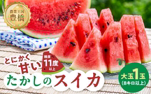 とにかく甘い！ 豊橋産『たかしのスイカ』 1玉 糖度11～13度 3L以上（8kg以上）6月 7月 くだもの フルーツ すいか  スイカ 夏 愛知県 豊橋市 14000円