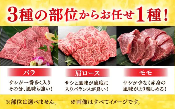 黒毛和牛 佐賀牛 焼肉用 1kg  (500g×2P) ※バラ・肩ロース・モモのいずれかの部位※ やきにく[FDB021]