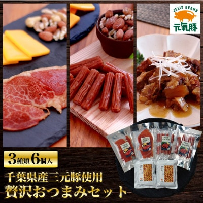 
贅沢おつまみセット(豚軟骨煮込み、ポークジャーキー、サラミ)＜3種6個入り＞【1364519】
