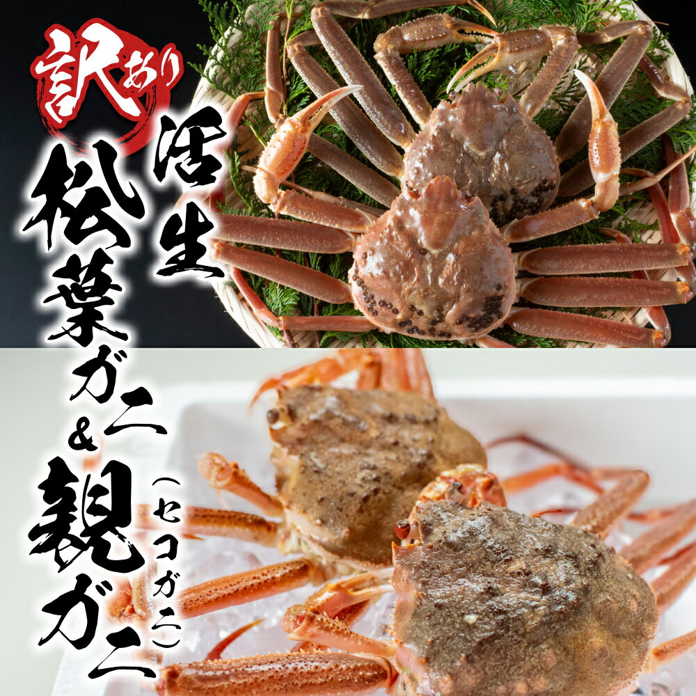 【ふるさと納税】訳あり松葉がに 親がに 夫婦セット（生）鳥取県網代産｜鳥取県 岩美町 蟹 かに カニ 松葉ガニ 親ガニ ズワイガニ 訳あり 訳アリ 新鮮 魚介 食べ比べ 詰め合わせ セット 冷蔵【22013】