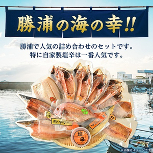 干物・焼魚・塩辛セット【配送不可地域：離島】【1005341】