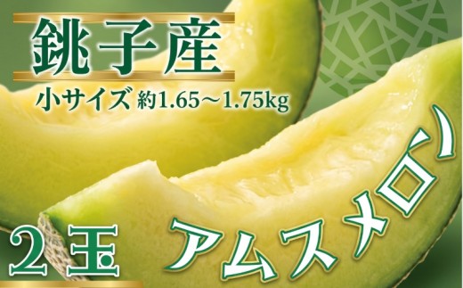 銚子産 アムスメロン！ 2玉 小サイズ  (1玉約1.65〜1.75kg未満)    メロン 青肉 果物 とろ甘16 高糖度 フルーツ ギフト プレゼント 贈答 贈り物 お取り寄せ デザート スイーツ ケーキ ゼリー ジュース 期間限定 国産  産地直送  農家直送 ふるさと納税 送料無料 千葉県 銚子市 弥兵衛  【6月下旬〜7月中旬発送】