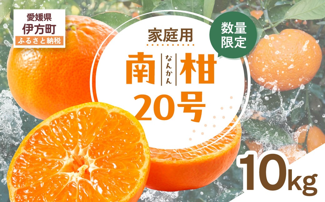 【先行受付】【数量限定】【家庭用】南柑20号（生果）10kg（2026年12月上旬頃より順次発送） IKTQ012