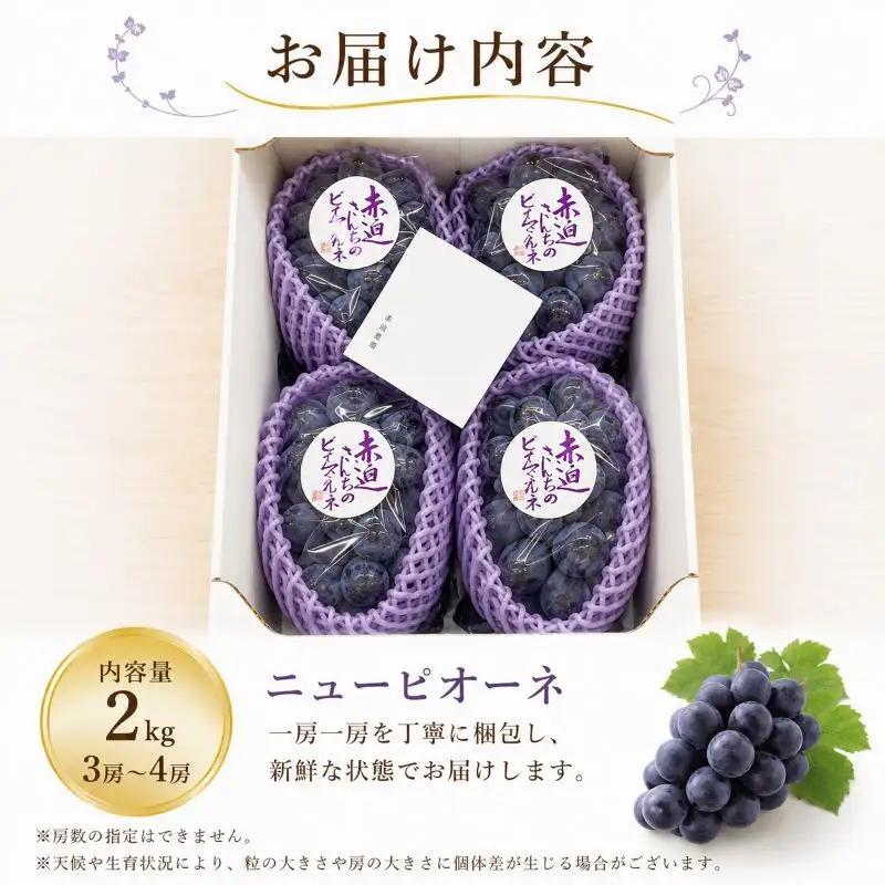 ニューピオーネ 赤迫農園 岡山県産 ニューピオーネ【2kg 3〜4房】【先行予約】