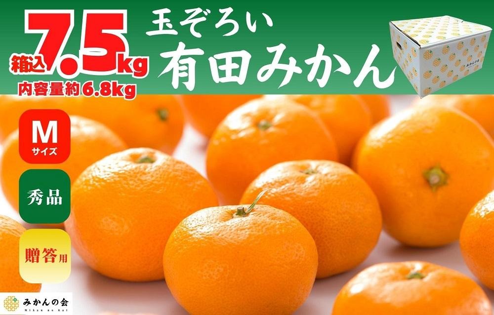 みかん Ｍサイズ 秀品 箱込 7.5kg (内容量約 6.8kg) 有田みかん 和歌山県産 産地直送 贈答用 【みかんの会】 AX203