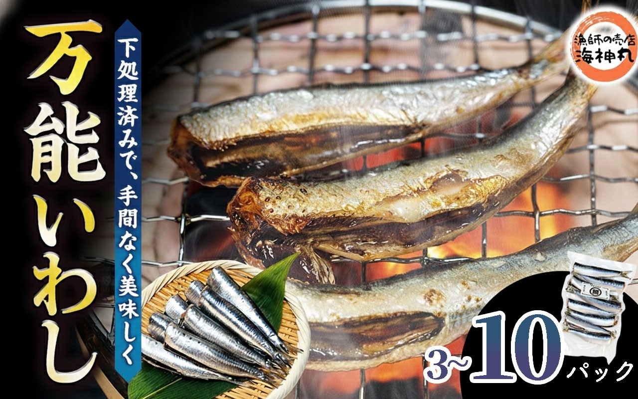 
                  選べる容量 万能いわし 8匹(約160g~180g）×3~10袋 下処理済み イワシ いわし 鰯 冷凍 魚介 小分け 魚 魚貝 贈り物  便利 簡単 グルメ BBQ  煮付け 塩焼き 蒲焼 旬 梅煮 焼き魚 おかず 海鮮 簡単調理 国産 米 と合う こめ とあう おこめ コメ とあう ご飯 酒 肴 おつまみ 人気 おすすめ ご褒美 漁師の売店 海神丸 ふるさと納税魚 愛知県 南知多 
                
