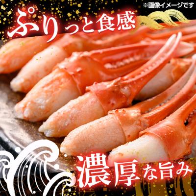 ふるさと納税 境港市 紅ズワイガニ爪肉ポーション(Mサイズ・1kg) |  | 01