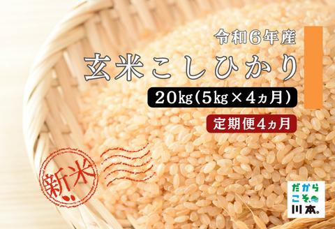 150268【令和6年産／お米定期便／4カ月】しまね川本玄米こしひかり5kg(計20kg）