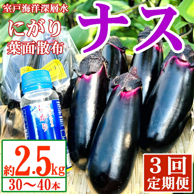 【ふるさと納税】【定期便3回発送】農家直送　土佐の美味茄子の新鮮ナス　2．5kg　（室戸海洋深層水にがり使用） 野菜 なす ナス 常温 小袋 国産 夏野菜 茄子 小分け 旬 高知 bn008