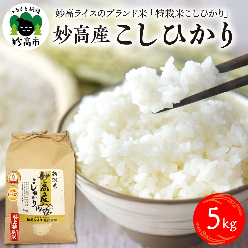 【ふるさと納税】令和7年産 妙高産 こしひかり 特別栽培米 5kg コシヒカリ 米 精米 白米 お米 2025年産 ブランド米 農家直送 産地直送 送料無料 お取り寄せ グルメ ご当地 特産 産地 新潟県 妙高市