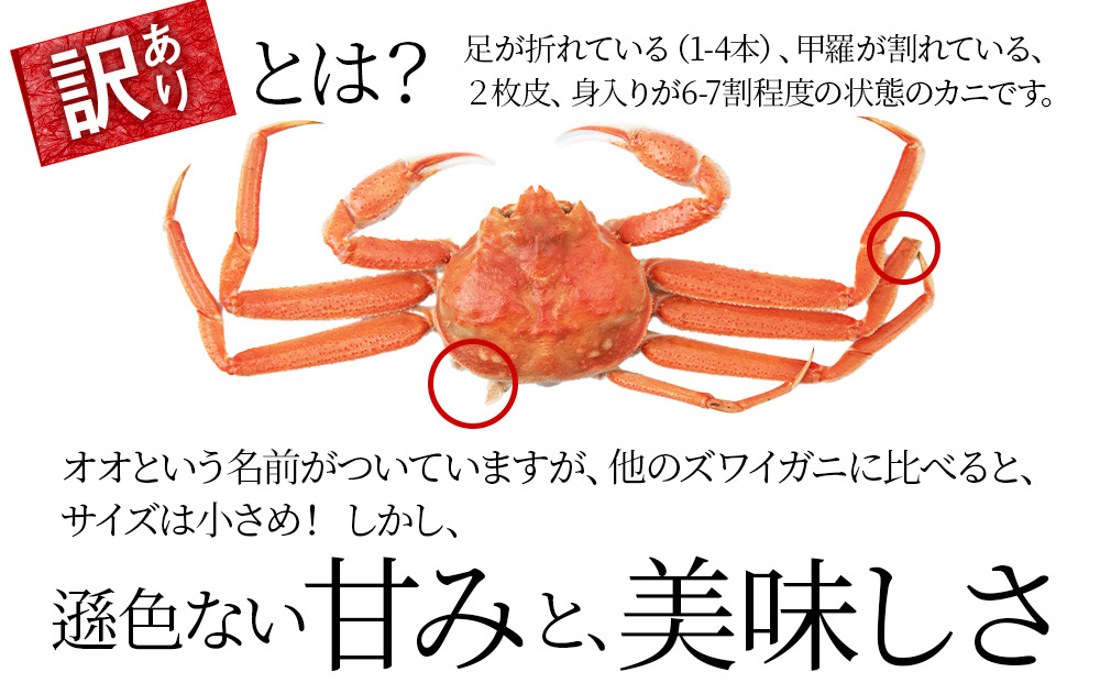 訳あり オオズワイガニオス 大サイズ (約400-500g) 浜ゆで 2kg (4～5尾入)  ボイル 北海道 AS115_イメージ3