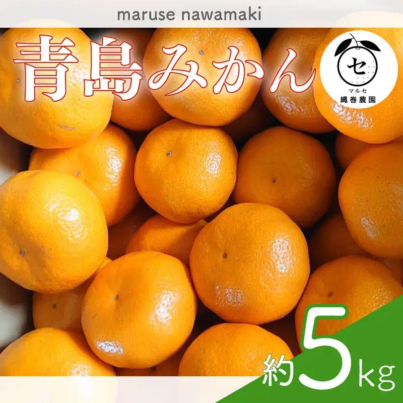 【期間限定発送】青島みかん 約 5kg みかん オレンジ