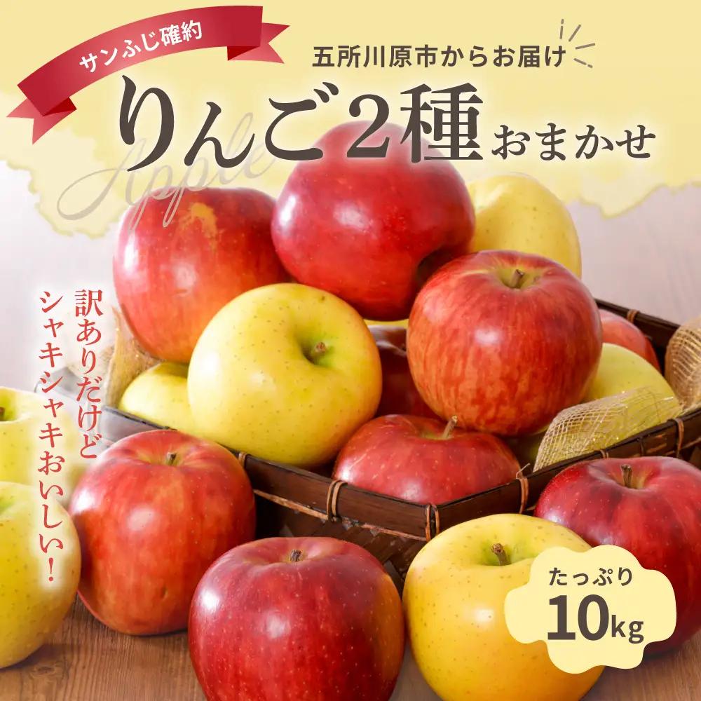【2026年11月後半発送】 【訳あり】 りんご 約10kg サンふじ確約 青森産 品種おまかせ2種以上