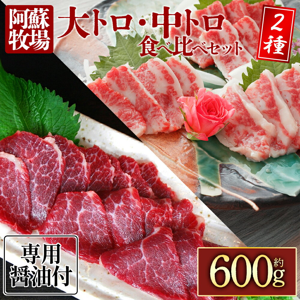 【ふるさと納税】【阿蘇牧場】大トロ・中トロ馬刺しのセット600g(各300g) 大トロ 馬刺し 中トロ 馬刺し 食べ比べ 冷凍 馬肉 小分け タレ付き お肉 熊本名物 上質 新鮮 お取り寄せ お祝い おつまみ 晩酌 生食用 刺身 プレゼント名物 特産品 熊本県 阿蘇市