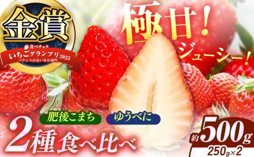 いちご 2種類 食べ比べ 肥後こまち ゆうべに  約500g（各250g） | 肥後こまち ゆうべに フルーツ 果物 くだもの 苺 いちご  熊本県 玉名市