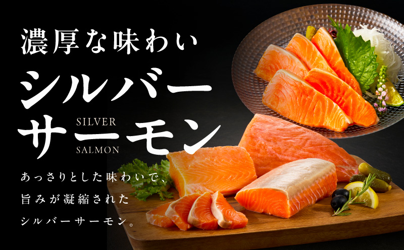 サーモン 定期便 1kg×全2回【ポーション 訳あり サイズ不揃い 刺身 海鮮丼 さーもん サラダ カルパッチョ 鮭 さけ シャケ しゃけ 人気 小分け 冷凍 家計応援】